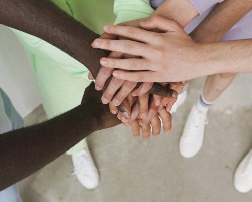 What are drug rehabilitation centres